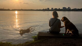 Two Dogs with Their Owner at the Alster