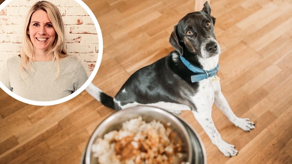 Collage Featuring a Dog with Food Bowl and Portrait of Philine Ebert (Circle)