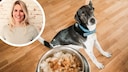 Collage Featuring a Dog with Food Bowl and Portrait of Philine Ebert (Circle)