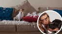 Collage of a Jack Russell on a couch with torn cushions and dog trainer Katharina Marioth (inset)
