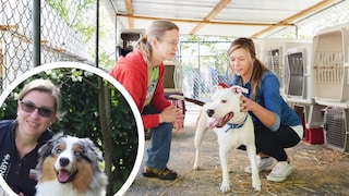 Collage featuring two animal shelter employees with a dog in a kennel and a portrait of PETBOOK author Manuela Lieflaender with her dog Elvis (in a circle)