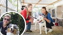 Collage featuring two animal shelter employees with a dog in a kennel and a portrait of PETBOOK author Manuela Lieflaender with her dog Elvis (in a circle)