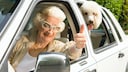 Older Woman and Her Poodle Share the Same Hairstyle While Sitting in the Car