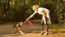 Dog Bites and Pulls on Leash