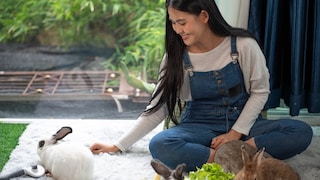 Young Woman Plays With Her Rabbits