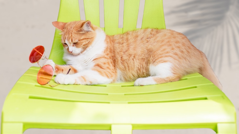 An orange cat lies on a green plastic chair, playing with sunglasses.