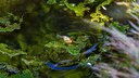 Turbulence in a Small Pond