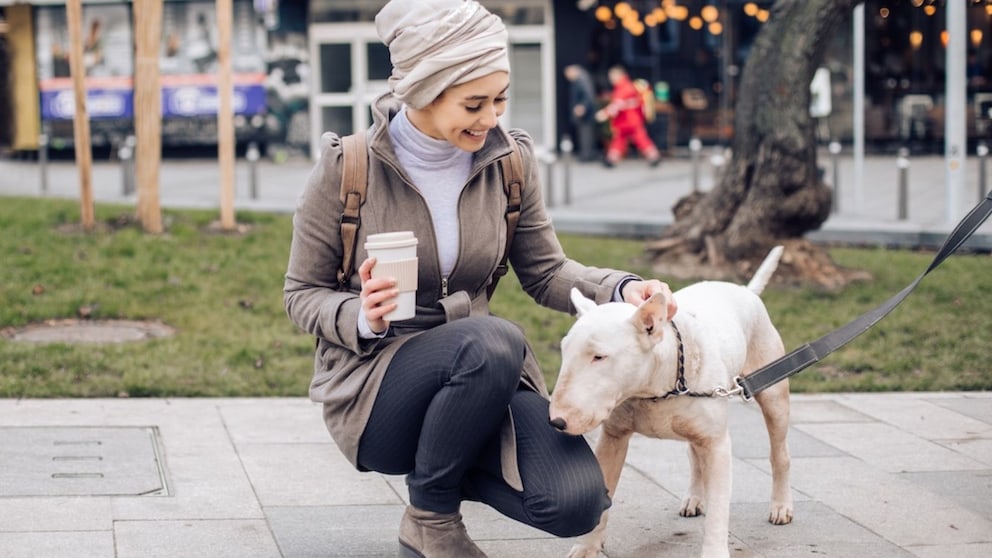 In Iran, walking dogs is banned in 20 cities, including Tehran. Authorities cite religious and cultural reasons for the prohibition (stock image).