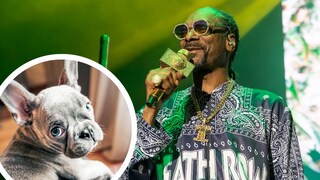 Rapper Snoop Dogg mourns his dog Juelz.