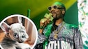 Rapper Snoop Dogg mourns his dog Juelz.