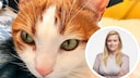 Collage featuring Tomcat Remo and pet expert Louisa Stoeffler