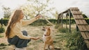 Woman Teaches Dog to Shake Paw