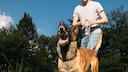 Man Holds Barking German Shepherd on Leash