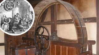 The task of the turnspit dogs was to use a treadmill to rotate the roasting spit over the fire, ensuring the food cooked evenly—and this went on for hours!