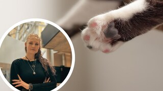 Collage Featuring Cat Paw and Portrait of Saskia Schneider (Circle)
