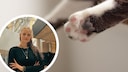 Collage Featuring Cat Paw and Portrait of Saskia Schneider (Circle)