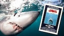 Collage Featuring a Mako Shark Underwater and the Movie Poster for "Jaws"