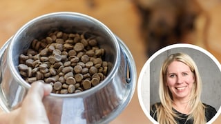 Collage of dry dog food in a bowl and portrait of Philine Ebert (Keis)
