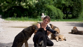 Dog Trainer Sarah Fink with Stray Dogs in Romania