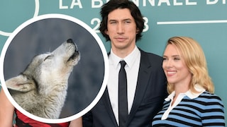 A film starring Scarlett Johansson and Adam Driver literally makes wolves howl