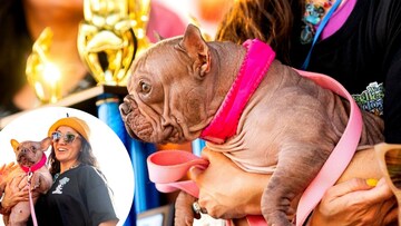Petunia Named "World's Ugliest Dog" 2025