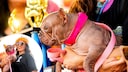 Petunia won a very special beauty contest over the weekend in Santa Rosa.