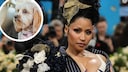 Several participants have already been injured in the Nicki Minaj Challenge. Now, this questionable trend seems to be encouraging many pet owners to imitate it as well.