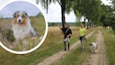 PETBKKO author Manuela Lieflaender hiking through the Lüneburg Heath with her dog Elvis