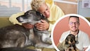 Fearful Dogs at the Vet: Expert Advice