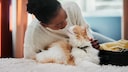A good cat sitter interacts with a cat
