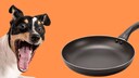 Surprised Dog on the Left, Frying Pan on the Right Against an Orange Background