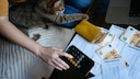 Woman Reviews Her Bills With Cat on Her Lap
