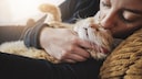 Owner Smells Cat's Fur While Cuddling