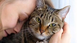 Cat and Woman Cuddle
