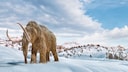 Lone Mammoth Roams Barren Ice Desert with Mountains