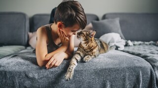 Little Boy and Cat Lie Together on the Couch