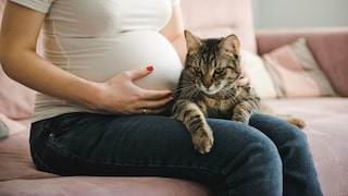 Pregnant woman sits on a sofa with a cat on her lap