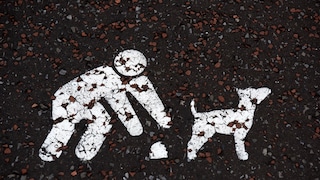 White Dog Poop Sign
