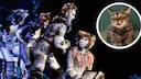 Performance of the Musical "Cats" and a Cat Looking Shocked (Circle)