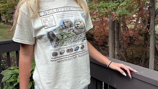 The otter T-shirt worn by Taylor Swift