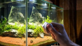 Magnetic cleaner used to remove algae from aquarium
