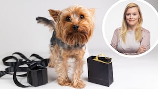 For Cyber Monday, there are great deals for dog owners. PETBOOK editor Louisa Stoeffler has compiled the best offers.