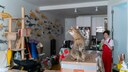 Cat Sits in Small, Cluttered Apartment