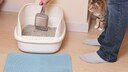 Cat Waits While Owner Cleans Litter Box to Jump Right In