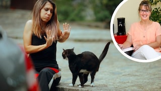 Woman Prefers Not to Be Touched by Cat, Featuring Psychologist Sandra Jankowski