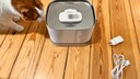 Remo with the Petlibro Dockstream 2