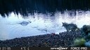 Screenshot from a study video showing a female wolf deliberately pulling a crab trap out of the water. Researchers interpret this as the first indication of tool use by wolves.