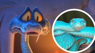 Collage of Gary the Snake from Disney's Zootopia 2 and an Indonesian Pit Viper (Trimeresurus insularis)