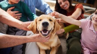 A multigenerational household pets a happy dog