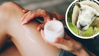 Collage of a woman applying lotion to her legs and a sheep (circle)